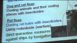 Dr Azza   Arthropods 2   YouTube