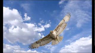 Groove Armada  Inside My Mind