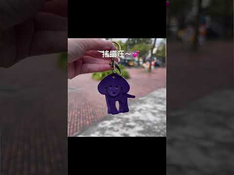 鑰匙圈 /吊飾-搖擺汪(有影片介紹)