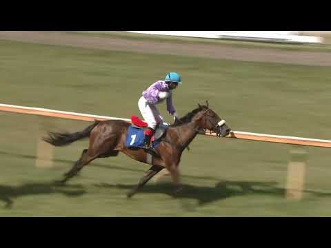 Dostihy Lysá nad Labem 6. 7. 2023 - 6. dostih - Memoriál Jiřího a Milenky Špačkových