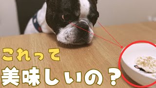 初めて手作りおやつ作ったけど食べてくれるかな？！💦