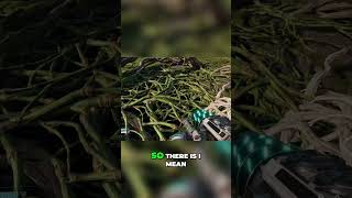 Hidden Cave Discovery in Game: Will Player Explore Deep Unknown? #shorts