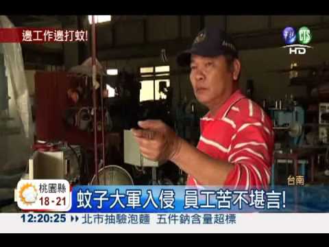 和順工業區蚊害! 10分鐘抓百隻蚊