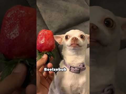 Nikki has several modes😂