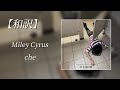和訳 Che Miley Cyrus Lyric Video