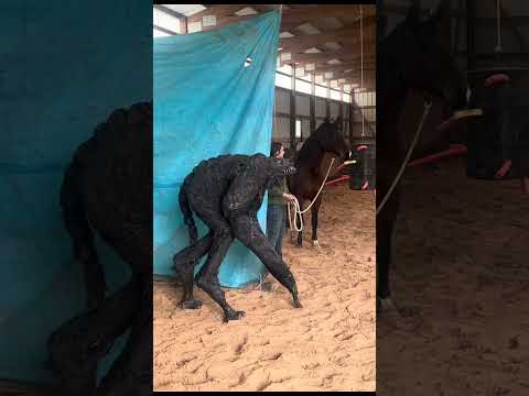 how do horses react to my costume??