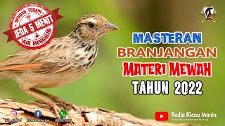 Download lagu Masteran Branjangan Materi Mewah 2022 || Radja Kicau Mania mp3