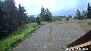 2026-07-02 Bambi