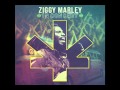 Ziggy Marley - "Black Cat" | Ziggy Marley In Concert