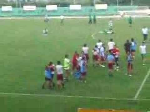 san marcello falconarese