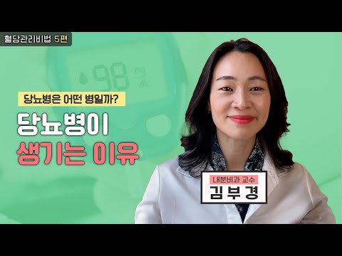 혈당을 낮추려면 원인부터! l 당뇨병이 생기는 이유