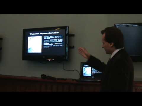 Rozstrzelać Polaków cz.4/4