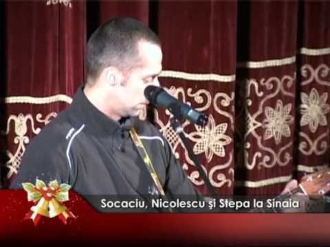 Socaciu, Nicolescu şi Stepa la Sinaia