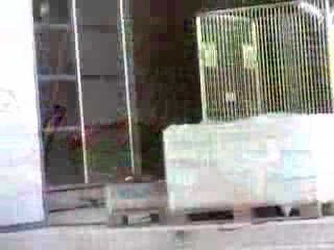 Left Övers 07 - Vitali