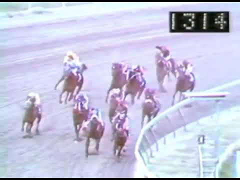 Clásico del Caribe 1977 [] Huracán Sí #Shorts