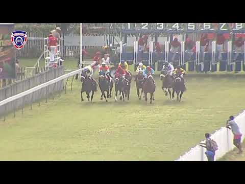 RM11 R6 - Ten Gun Salute(R.Fradd)