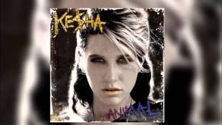 Ke$ha | Animal | Animal | (Audio)