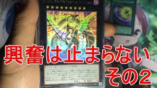 【遊戯王】昔買ったカードを発掘！　エクシーズ・シンクロ編