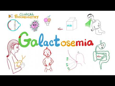 Galactosemia, Galactokinase deficiency, Lactose Intolerance - Lactose Metabolism Disorders - Biochem