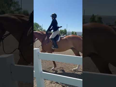 Archetype video 2