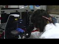 Stem cell discovery could help lung disease patients