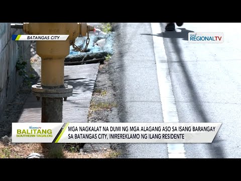 Balitang Southern Tagalog: Nagkalat na dumi ng mga aso sa isang brgy sa Batangas City, inirereklamo