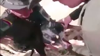 Soldiers show humanity and saves a life drowning in water.