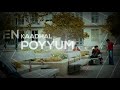 Oh Shanthi Shanthi Whatsapp Status Nee Indri Naanum Ilai Love Whatsapp Status Harris Jayaraj
