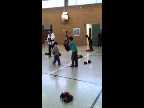 rasit unudulmaz  kickbox und taekwondo. haiger