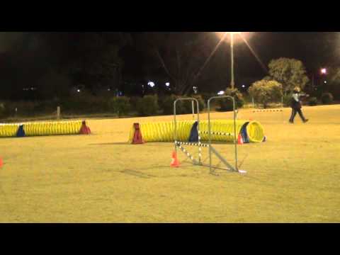 BDOC Jumping 6/8/12 - Goose