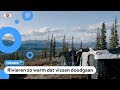 Problemen door opwarming in Alaska