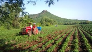 Los Muecas - Gaviota Sin Destino  [Excelente Audio]