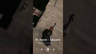 Download lagu Maurice Ravel - Tzigane Rhapsody 🔥 #violin #classicalmusic #violinist #virtuoso #musician #viral mp3 Download lagu Maurice Ravel - Tzigane Rhapsody 🔥 #violin #classicalmusic #violinist #virtuoso #musician #viral mp3