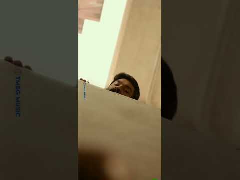 Thiru Movie Telugu _ Dhanush Nithya Menon  Maikamaa Mantrama Full Video Song Telugu TMBG MUSIC 💝💝💝💝💝