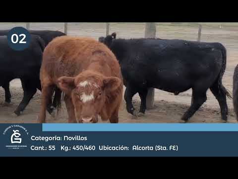 Lote NV UE HILTON - Alcorta Sta Fe