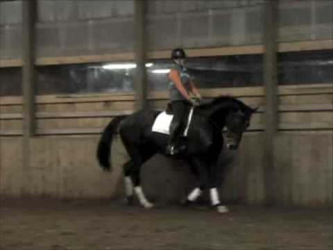 Zenda Cindy Ishoy dressage clinic Nov 2008