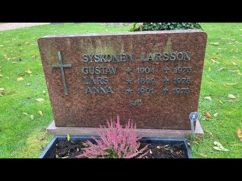 Södra Unnaryds kyrkogård - Syskonen i Sjö