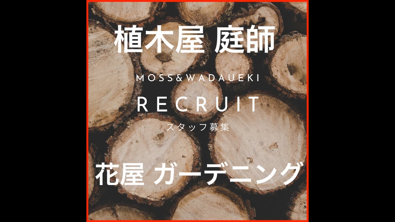 【スタッフ募集】植木屋や庭師の【求人】です！庭師として働きながら、Youtube動画の撮影やECサイトの管理をしてみませんか？
