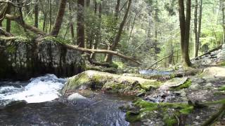 preview picture of video 'Tillman Ravine - Stokes State Forest - njHiking.com'