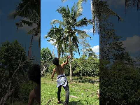 ไม่ใช่ AI บังเอียดเซียนของจริง