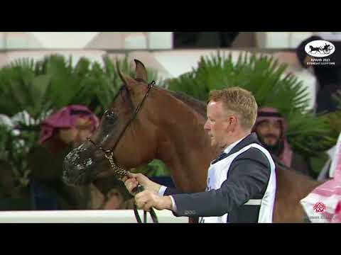 N 144 AB FARES   KPAHS Straight Egyptian Show 2023   Colts 3 Years Old Class 8