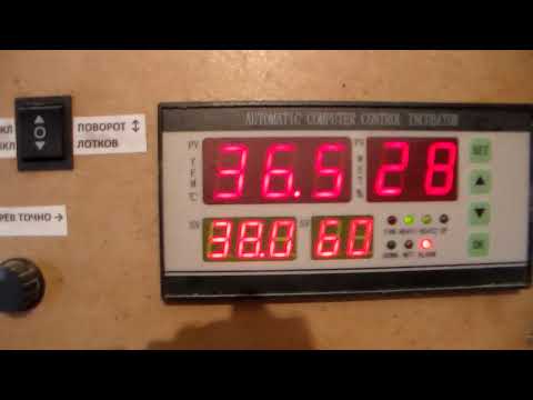 Самый надежный увлажнитель для инкубатора