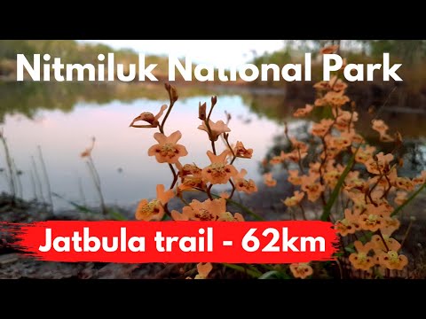 Hiking NT | Jatbula Trail | Highlights
