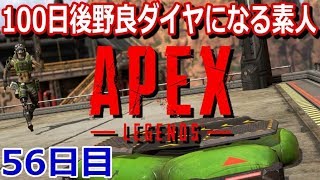 【APEX PC版】100日後ソロダイヤになる初心者56日目