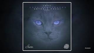 Coyu & Antonio Pocai - Transportador (Coyu Raw MIx)