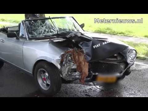 Oltimer tegen boom Noordlaren