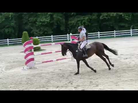 Conthagra (Conthargos x Quick Star) Baltica Tour 2020 140 Final day
