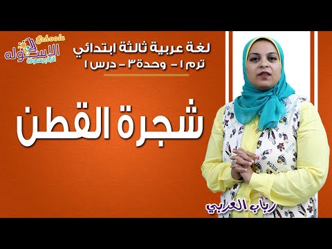 لغة عربية ثالثة ابتدائي 2019 | شجرة القطن | تيرم1 - وح3 - در1 | الاسكوله