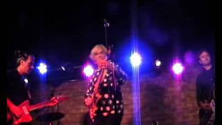 Robyn Hitchcock w. Rockfour - Kingdom Of Love (The Soft Boys) - Live in Tel Aviv 2011
