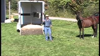 Trailer Loading Difficult Horses Video 3 Part 1